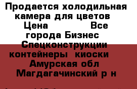 Продается холодильная камера для цветов › Цена ­ 50 000 - Все города Бизнес » Спецконструкции, контейнеры, киоски   . Амурская обл.,Магдагачинский р-н